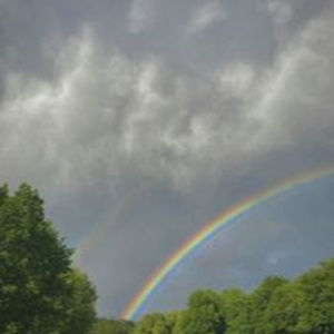 Meet your Posher, Genevieve